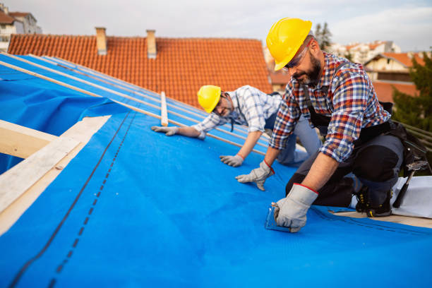 Roof Gutter Cleaning in Tuckahoe, VA